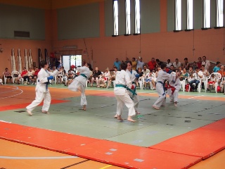 Image description